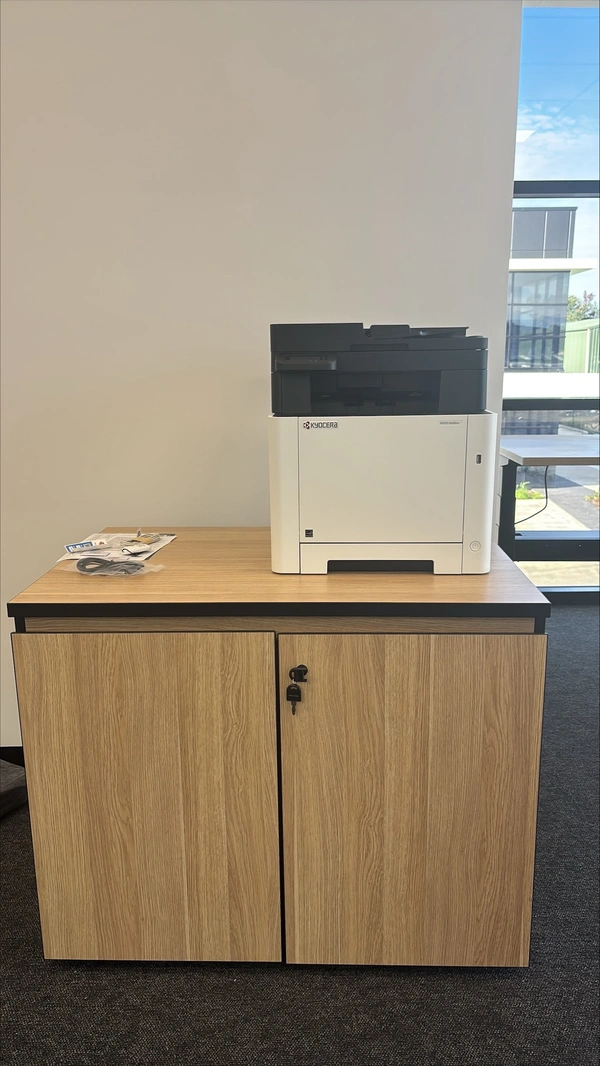 Small business printer networking